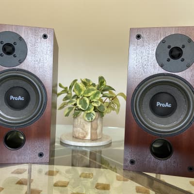 Proac best sale studio monitors