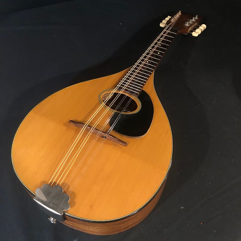 Martin A style Mandolin - from 1925 was Heart's touring stage Mandolin all  during the '80's 1925