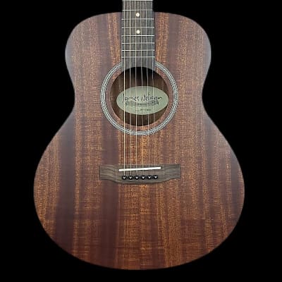 James Neligan DEV-A-MINI Deveron Mini Auditorium Acoustic Travel Guitar for sale
