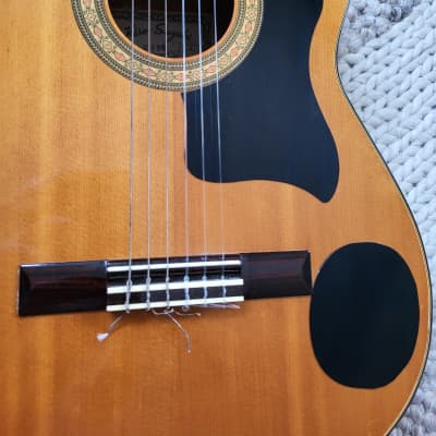 Kiso-Suzuki  Gitarre Guitar Made in Japan for sale