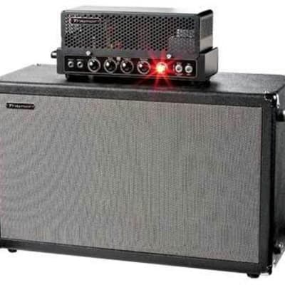 Traynor DHX212 | 2x12" Open or Closed Back Guitar Cab. New, with Warranty! image 5