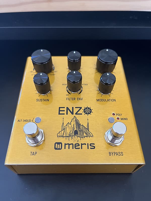 Meris Enzo