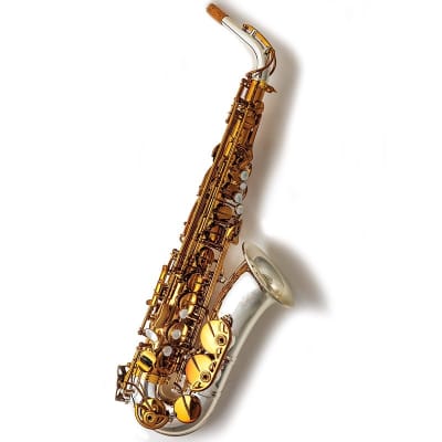 FORESTONE Alto Saxophone Forestone GX COLORS image 1