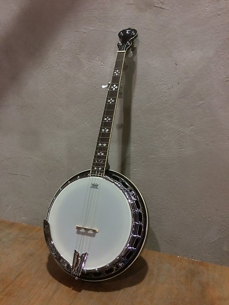 Tanglewood TWB USA 5 5 String Banjo 24 Brackets Remo Vintage Renaissance Head Tone Ring Mahoga
