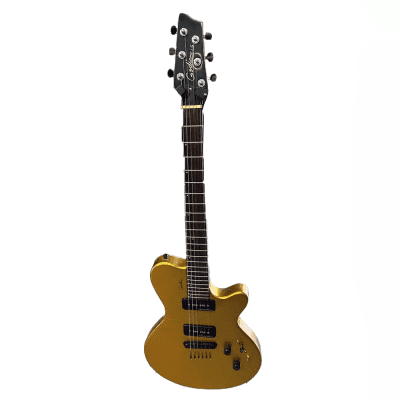 Godin Performance Series LG image 3