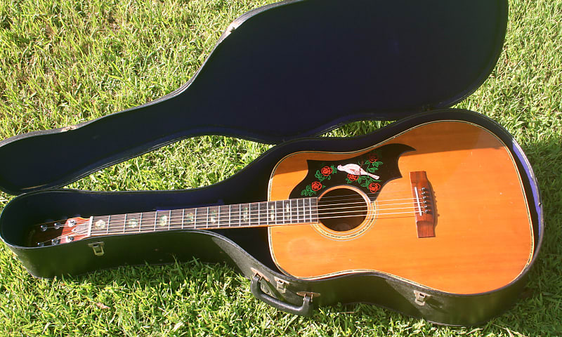 Mid '70 Hillbilly W-50 Brazilian Rosewood by Suzuki Violin Mid '70 Hillbilly W-50 Brazilian Rosewood by Suzuki Violin