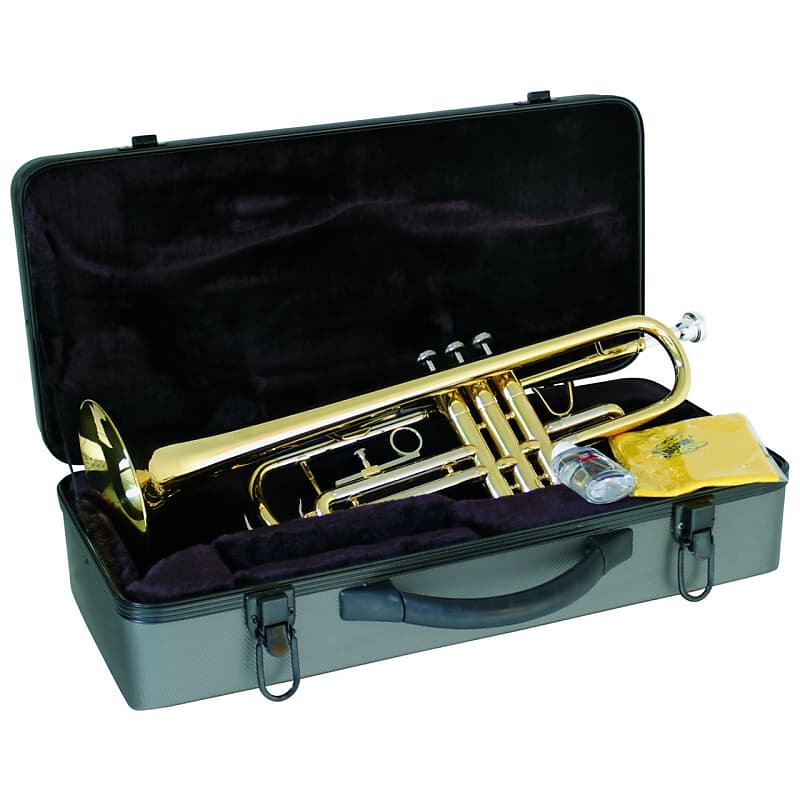Lauren LTR100 Student Bb Trumpet Outfit with Case image 1