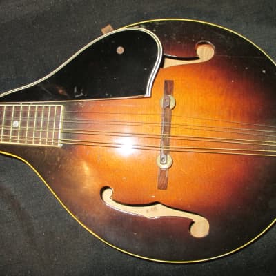 Gibson A50? Mandolin image 4
