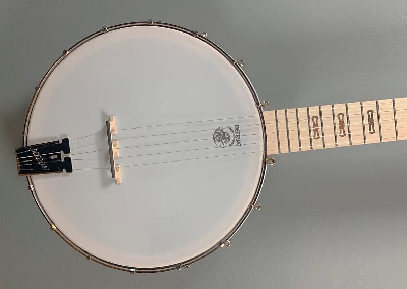Goodtime 5-String Banjo image 1