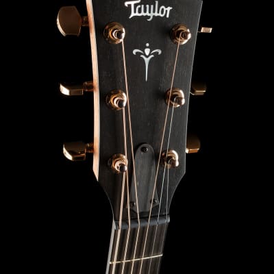 Taylor 722ce - Natural - Free Shipping image 8