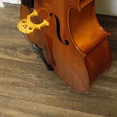 Eastman VC100 4/4 Cello 2008-Amber image 3