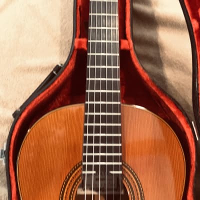 Asturias Kodaira AST 50 L, 1980s | Reverb