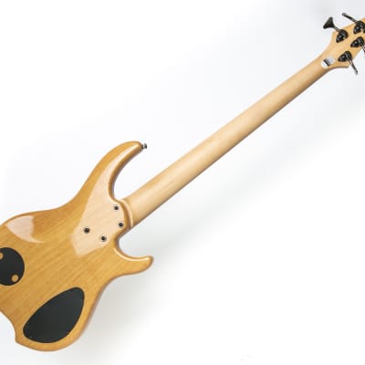 IN STOCK - LEFTY Dingwall Combustion 3-5 (Five String) in Natural Ash w/ Case - Ready to Ship! image 3