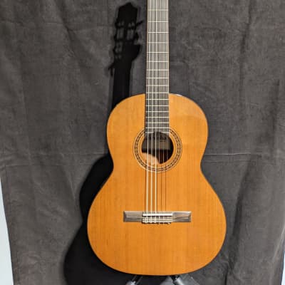 Cordoba Dolce 7/8 Nylon String Acoustic Guitar image 1
