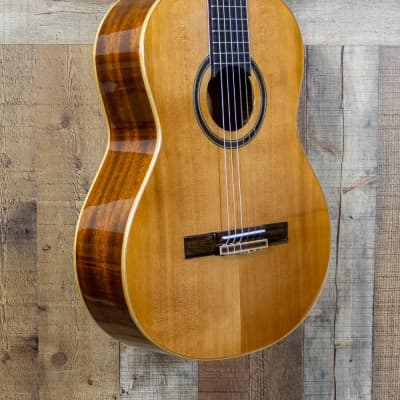 Teton STC105NT Classical Guitar image 4
