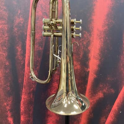 Bach flugelhorn deals