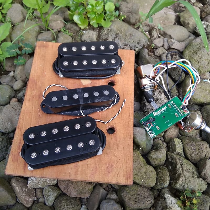 DiMarzio® KIKO Pickup W/ Wiring System | Ibanez KIKO10BP-TGB Kiko