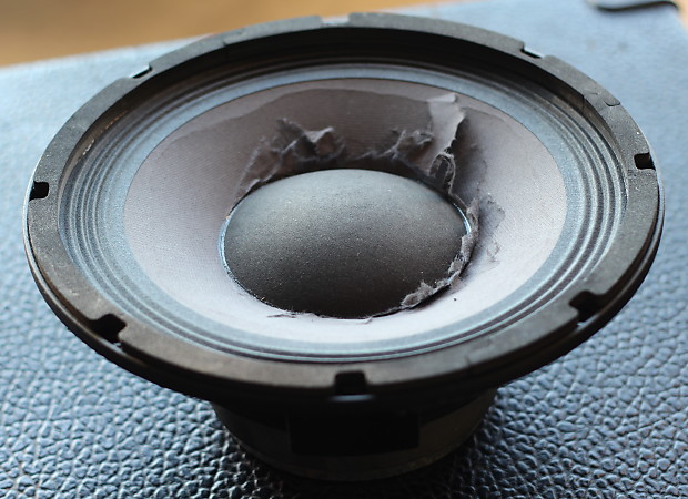 Mesa boogie 2025 replacement speakers