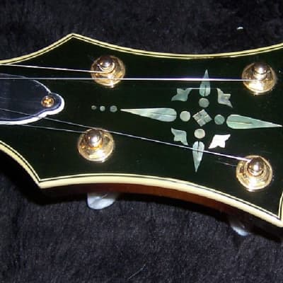 Gold Tone EBM-5 Electric Solid Body Maple Neck Mahogany Top 5-String Banjo - Tobacco Sunburst image 8