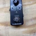 TC Electronic Ditto Looper Ditto Looper 2010’s Grey