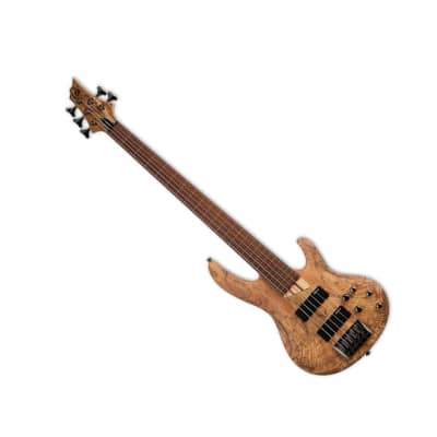 ESP LTD B-205SM Fretless 5-String Electric Bass Guitar with Roasted Jatoba Fingerboard, Ash Body, Spalted Maple Top, and 5-Piece Maple or Jatoba Neck (Right-Handed, Natural Satin) image 4