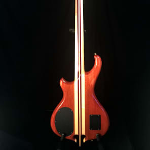 Alembic Burl Redwood Custom 4 String Bass image 2