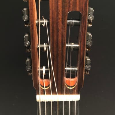 Richard Prenkert 7-String Guitar #401 2019 image 5