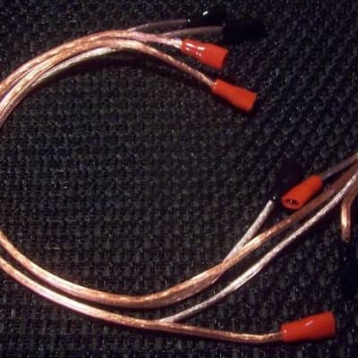 EarCandy 2x12 guitar amp speaker cab series wiring harness W P-out, jack plate hardware no soldering image 3