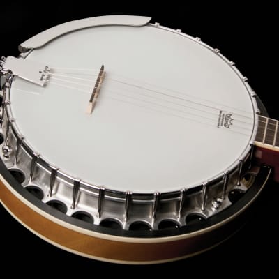 Washburn - Sunburst Americana Series 5 String Banjo! B9 image 5