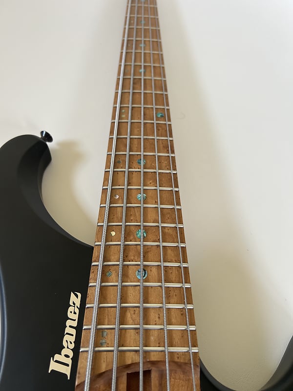 Ibanez EHB1005-BKF Bass Workshop - Black Flat | Reverb Ibanez EHB1005-BKF Bass Workshop - Black Flat | Reverb
