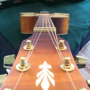 Ibanez Vine acoustic-electric solid wood beauty image 6
