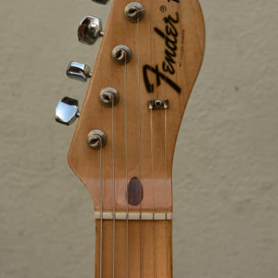 Fender Telecaster Thinline 1969 - Natural image 5