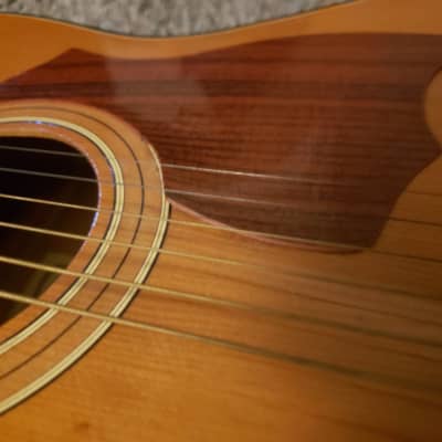 Stella Vintage Acoustic Guitar 1960's Sunburst | Reverb