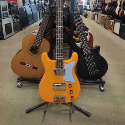 Epiphone Newport Bass - California Coral for sale