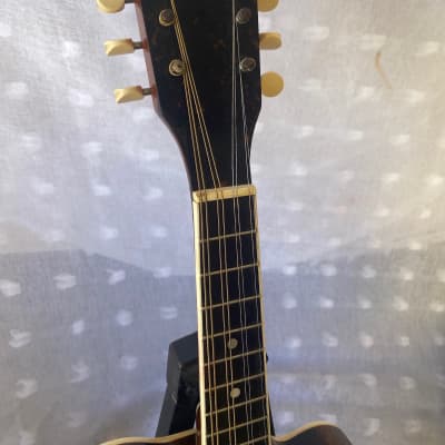 Shutt Mandolin-Guitar 1915 - Dark Mahogany Polished image 6