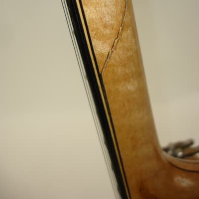 Vintage Orpheum by Lange No. 1 Tenor 4-String Open-Back Banjo AS IS image 19