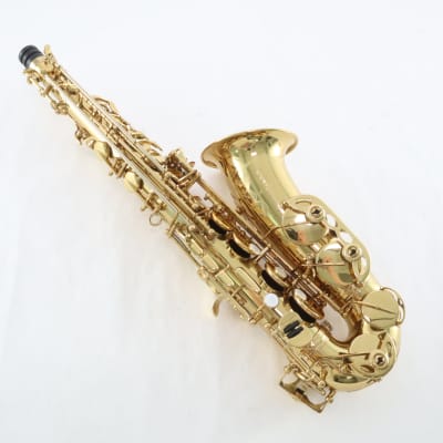 Eastman Model EAS850 Professional Alto Saxophone 'Rue Saint-Georges' GORGEOUS image 7