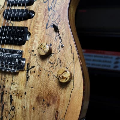 Canalli Spalted SS, MBit Custom Shop, Reclaimed / Exotic Woods, Stainless Steel Tremolo Bridge, Hand-wound Pickups, Brazilian, Superstar Style image 4
