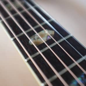 TF Morris W-50 | Reverb