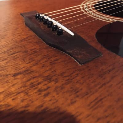 Charvel 550M Mahogany Acoustic Guitar with Gigbag image 21