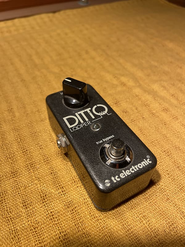 TC Electronic Ditto Looper