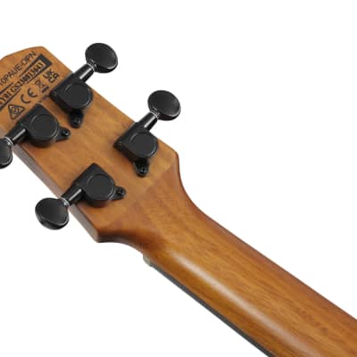 Ibanez AUC10E-OPN Concert Ukulele Open Pore Natural incl. Gigbag - NEW image 13