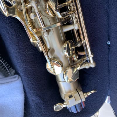 Kessler Custom Matte alto saxophone with case great shape image 7