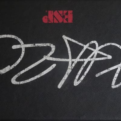 ESP KH-20 Kirk Hammett 20th Anniversary Flamed Maple Top & Neckthrough Metallic Tone image 12