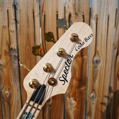 Spector USA Coda 4 Clairo Walnut 4-String Bass Guitar w/ Deluxe Protec Gig Bag (2023) image 9