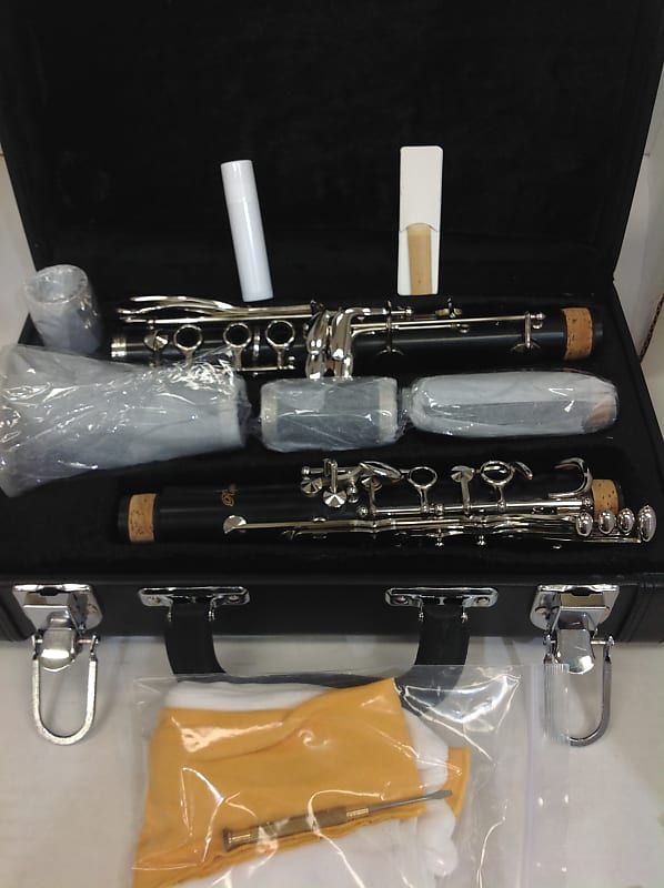 Rossetti new in w/Case Reverb