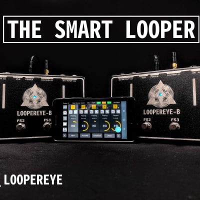 LOOPEREYE-B, The Smart Looper image 4