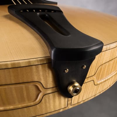 Schneider Guitars / The SoHo17 image 14