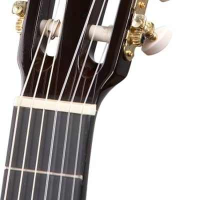 Lucida LG-520 Spruce Top Classical Guitar image 6