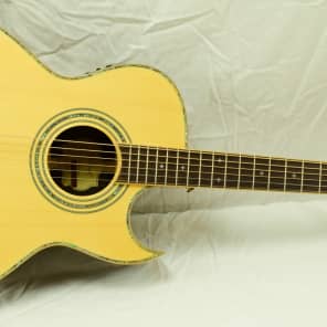 Samick ASMJR CE  Acoustic/Electric Guitar All Solid Wood image 1
